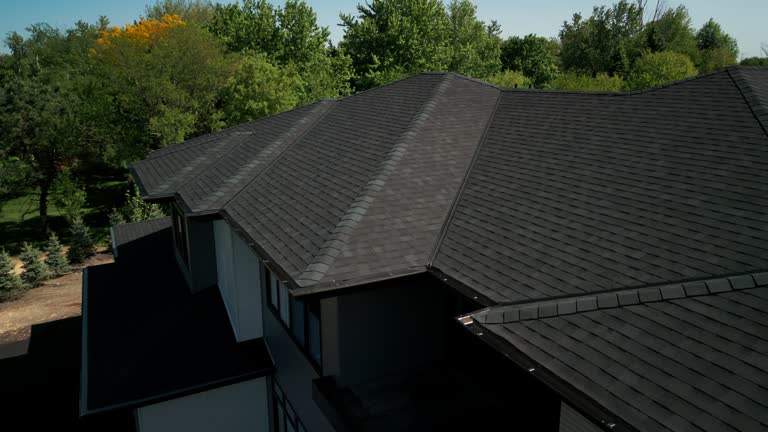 Best Chimney Flashing Repair  in , AK
